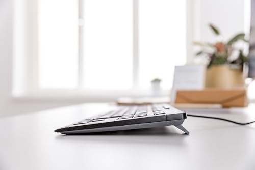 CHERRY Stream TKL Wired USB Keyboard – Compact Silent Keystroke Design for Enhanced Office Productivity and Ergonomic Comfort – Ideal for Professionals and Minimalist Workspaces