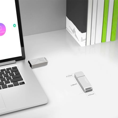 EASTBULL 256 GB High-Speed USB 3.0 Flash Drive with USB C Adapter & Keychain – Sleek Metal Design for Ultimate Portability, Fast Data Transfers, and Enhanced Compatibility for All Devices