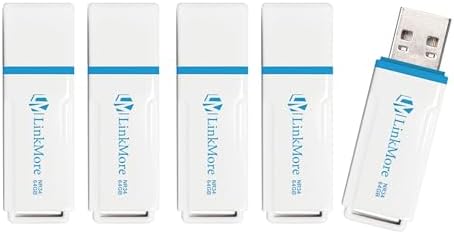 Maximize Your Data Storage with Link More EJECT32 256 GB USB 3.2 Flash Drive – Fast 100 MB/s Read Speeds & Retractable Design for Ultimate Portability and Compatibility with PC and Consoles