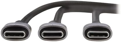 Tripp Lite 6-Foot Dual USB-C Multi-Charging Cable/Splitter – 100 W PD Fast Charging & 480 Mbps Data Transfer – Male-to-2 x Male Configuration for Enhanced Device Connectivity – Ideal for Laptops, Tablets, and Smartphones – Durable Design with 3-Year Warranty