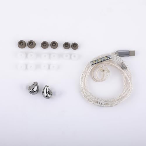 Elevate Your Sound with Linsoul BLON BL03 II Wired Hi-Fi In-Ear Monitors – Premium 10 mm Dual-Chamber Dynamic Driver Earbuds Featuring Detachable 2-Pin Cable & Type-C Connector for Enhanced Portability, Ergonomically Crafted for Musicians and Audiophiles in Stylish Silver Finish