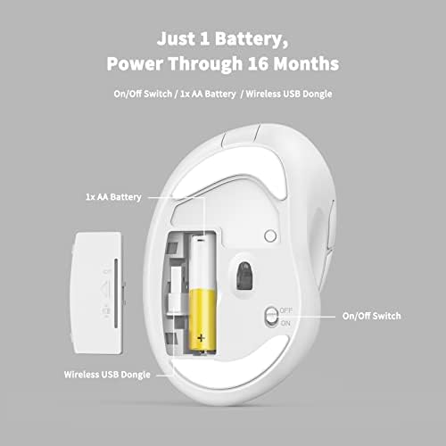 Revolutionize Your Workspace with the Green Ergonomic Wireless Mouse – Superior Vertical Design for Ultimate Comfort, Silent Clicks for Distraction-Free Focus, Long-Lasting Battery Life Powered by 1 AA Battery, Precision Control Up to 1600 DPI with USB Receiver Compatibility for PCs, Laptops, and Desktops