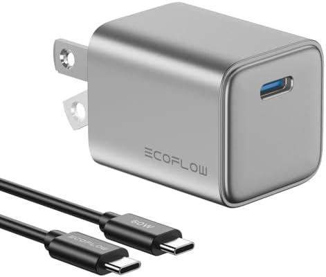 EF ECOFLOW 20 W Ga N USB-C Fast Charger – Ultra-Compact Power Block for i Phone 15/14/13, Galaxy, i Pad – Rapid Charging with Safety Features & Durable Cable – Perfect for On-the-Go Use and Everyday Efficiency