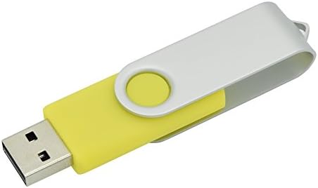 Effortless Data Storage with FUYUAN 10-Pack 2 GB USB Flash Drives – High-Speed USB 2.0 Memory Sticks in Stylish Blue for Ultimate Portability and Compatibility