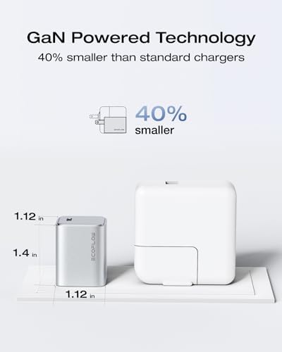 EF ECOFLOW 20 W Ga N USB-C Fast Charger – Ultra-Compact Power Block for i Phone 15/14/13, Galaxy, i Pad – Rapid Charging with Safety Features & Durable Cable – Perfect for On-the-Go Use and Everyday Efficiency