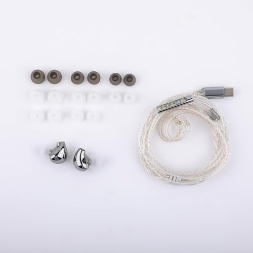 Elevate Your Sound with Linsoul BLON BL03 II Wired Hi-Fi In-Ear Monitors – Premium 10 mm Dual-Chamber Dynamic Driver Earbuds Featuring Detachable 2-Pin Cable & Type-C Connector for Enhanced Portability, Ergonomically Crafted for Musicians and Audiophiles in Stylish Silver Finish