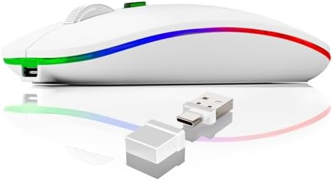 Ergonomic Wireless Mouse for Mac & PC – Rechargeable Dual Mode Bluetooth 5.2/3.0 & 2.4 GHz USB-C Receiver – Lightweight, Silent Design for Ultimate Comfort and Portability – Ideal for Multitasking Professionals and Casual Users