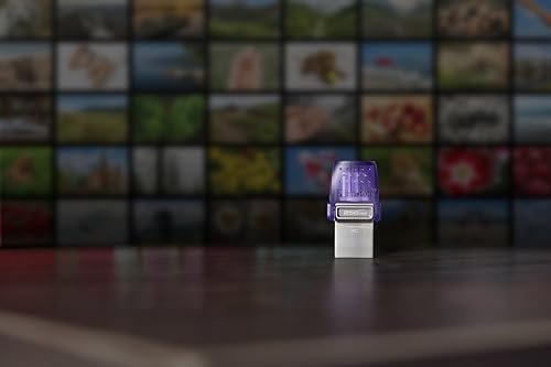 Kingston 2 GB Micro SD Card – Compact & Reliable Mobile Storage Solution for Seamless Data Expansion and Enhanced Device Performance