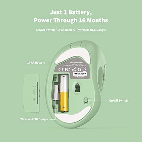 Revolutionize Your Workspace with the Green Ergonomic Wireless Mouse – Superior Vertical Design for Ultimate Comfort, Silent Clicks for Distraction-Free Focus, Long-Lasting Battery Life Powered by 1 AA Battery, Precision Control Up to 1600 DPI with USB Receiver Compatibility for PCs, Laptops, and Desktops