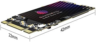 Transform Your Computing with GAMERKING 120 GB m SATA SSD – Lightning-Fast Internal Solid State Drive for Desktops and Laptops, SATA III 6 Gb/s for Superior Speed and Reliability