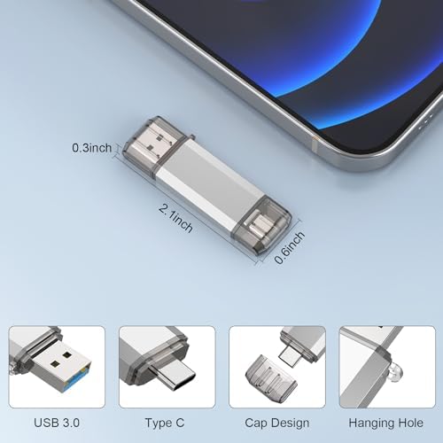 RAOYI 256 GB USB C Flash Drive – Lightning-Fast 130 MB/s Dual OTG Metal Memory Stick for Seamless File Transfers with Keychain – Ideal for Smartphones, PCs, Mac Books, and Tablets (Red) – Ultimate Storage Solution for On-the-Go Professionals