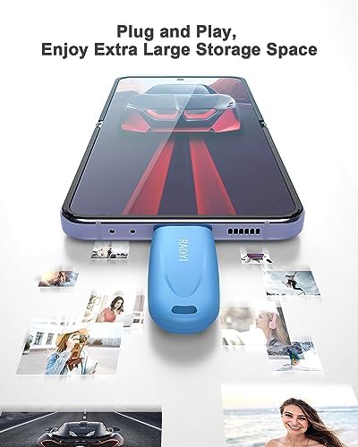 RAOYI 256 GB USB C Flash Drive – Lightning-Fast 130 MB/s Dual OTG Metal Memory Stick for Seamless File Transfers with Keychain – Ideal for Smartphones, PCs, Mac Books, and Tablets (Red) – Ultimate Storage Solution for On-the-Go Professionals