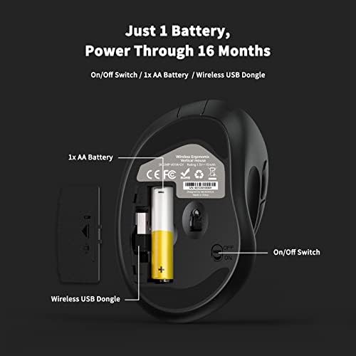 Revolutionize Your Workspace with the Green Ergonomic Wireless Mouse – Superior Vertical Design for Ultimate Comfort, Silent Clicks for Distraction-Free Focus, Long-Lasting Battery Life Powered by 1 AA Battery, Precision Control Up to 1600 DPI with USB Receiver Compatibility for PCs, Laptops, and Desktops