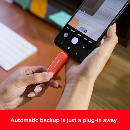 San Disk 4 GB Ultra Compact Flash Memory Card – High-Speed 30 MB/s Transfer Rate for Photographers & Videographers, Durable Design for Reliable Data Storage and Quick File Transfers, Ideal for DSLRs & HD Camcorders