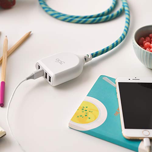 Transform Your Charging Routine with the 360 Electrical Habitat 4.8 A 6 ft USB Extension Cord – Versatile 4-Port Power Hub Ideal for i Phone, Android Devices, and Tablets – Stylishly Braided in Eye-Catching Poppy Fields – Fast Charging Capabilities with Superior Device Compatibility for an Organized, Tangle-Free Setup