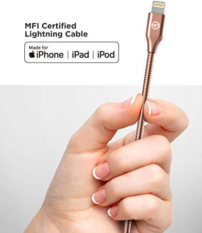 GALVANOX Pet-Proof Lightning to USB-C Charging Cables (2 Pack) – Ultra-Durable Braided Metal Design for i Phone and i Pad – Apple MFi Certified Chew-Resistant 4 Ft. Cord for Fast Charging and Enhanced Device Protection