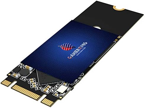 Transform Your PC with GAMERKING 64 GB SATA III Internal SSD – Unleash Blazing Fast 6 Gb/s Transfer Speeds for Superior Performance and Reliability in Laptops and Desktops – Compact 7 mm Design for Optimal Space Efficiency and Seamless Upgrades