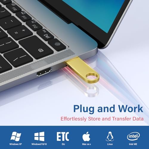 Wooolken 5 Pack Sleek Metal 64 GB USB Flash Drives – Durable USB 2.0 Memory Sticks with Keychain for Effortless Data Storage and Transfer on PC & Laptop – Perfect for Professionals and Students