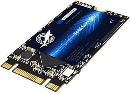 Unlock Lightning-Fast Computing with the Dogfish 500 GB M.2 2242 SATA III SSD – Perfect Upgrade for Desktops and Laptops with Enhanced Compatibility and Low Power Consumption for Ultimate Efficiency