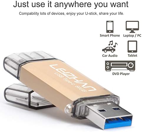 Leizhan 64 GB Dual Interface USB Flash Drive – Versatile Type-C & USB Memory Stick with Adapters for Effortless Data Transfer – Stylish Gold Finish for Enhanced Portability and Compatibility