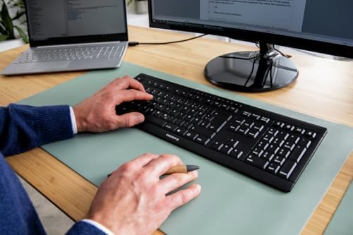 CHERRY Stream TKL Wired USB Keyboard – Compact Silent Keystroke Design for Enhanced Office Productivity and Ergonomic Comfort – Ideal for Professionals and Minimalist Workspaces