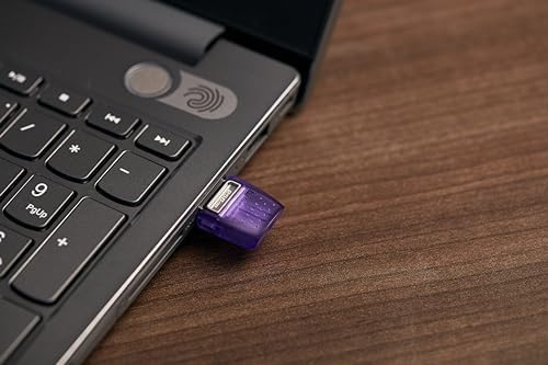 Kingston 2 GB Micro SD Card – Compact & Reliable Mobile Storage Solution for Seamless Data Expansion and Enhanced Device Performance