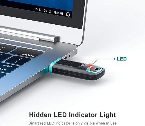 RAOYI 256 GB USB 3.0 Flash Drive – High-Speed Thumb Drive for Effortless Data Transfer Across PCs & Macs – Ultimate Portable Storage Solution for Professionals and Everyday Use