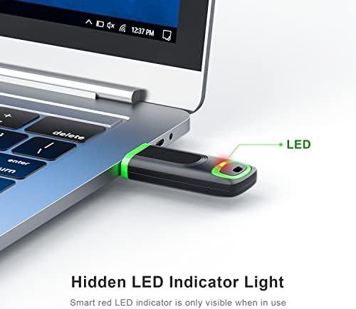 RAOYI 256 GB USB 3.0 Flash Drive – High-Speed Thumb Drive for Effortless Data Transfer Across PCs & Macs – Ultimate Portable Storage Solution for Professionals and Everyday Use