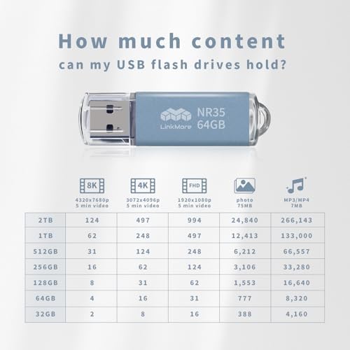 Maximize Your Data Storage with Link More EJECT32 256 GB USB 3.2 Flash Drive – Fast 100 MB/s Read Speeds & Retractable Design for Ultimate Portability and Compatibility with PC and Consoles