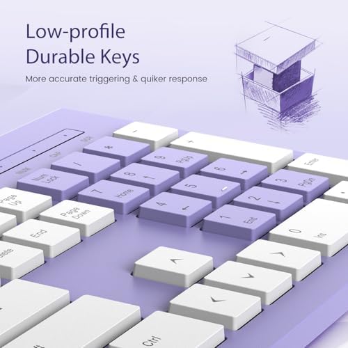 Upgrade Your Typing Experience with the Spill-Resistant USB Wired Keyboard – Low Profile Chiclet Keys, Large Number Pad, and Ergonomic Design for Enhanced Comfort and Speed – Perfect for Professionals and Home Users (Black)