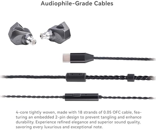 TINHIFI-C2 Mecha Style Wired Earphones with Microphone | Dual Magnetic Circuit Design for Unmatched Sound Precision | Type C Compatibility for Modern Devices | Custom EQ Settings for Tailored Audio Experience | Ergonomically Engineered for Comfort During Long Listening Sessions | Ideal for Audiophiles and Music Enthusiasts Seeking Superior Quality
