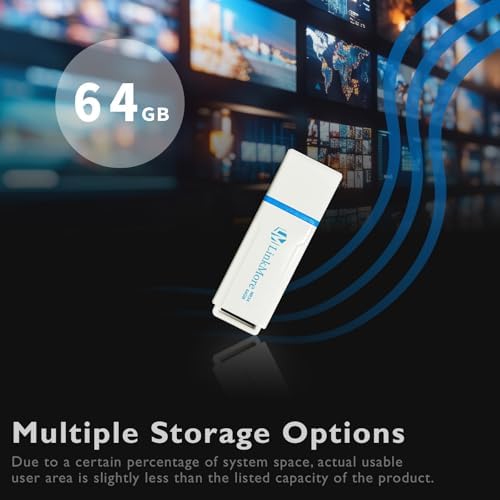 Maximize Your Data Storage with Link More EJECT32 256 GB USB 3.2 Flash Drive – Fast 100 MB/s Read Speeds & Retractable Design for Ultimate Portability and Compatibility with PC and Consoles