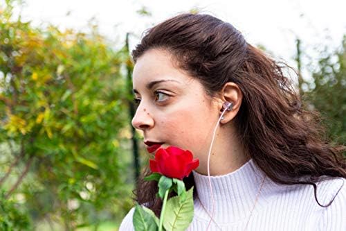 LUDOS Ultra Magnetic USB-C Earbuds for i Phone 16 & Samsung Galaxy – Superior Sound Performance with 5-Year Warranty, Ergonomic Comfort for All-Day Use, Tangle-Free Magnetic Design for Music and Calls – Sleek Black Finish