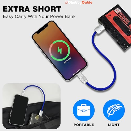 chubbycable Cute Chubby – 240W Short USB-C Cable Power Bank Fast Charging Cable Silicone Charger Cord Compatible with iPhone 16/15 Series, Desert Titanium+Desert Titanium, Type-C to Type-C, 20 inch – Enhanced Compatibility and Speed