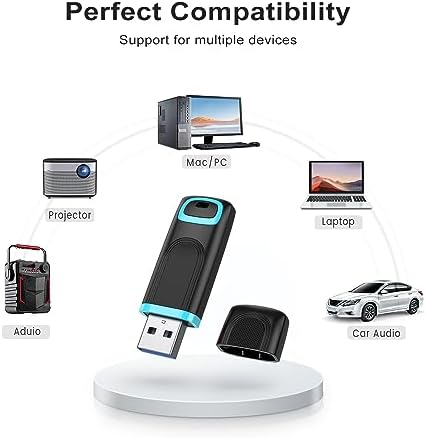 RAOYI 256 GB USB 3.0 Flash Drive – High-Speed Thumb Drive for Effortless Data Transfer Across PCs & Macs – Ultimate Portable Storage Solution for Professionals and Everyday Use