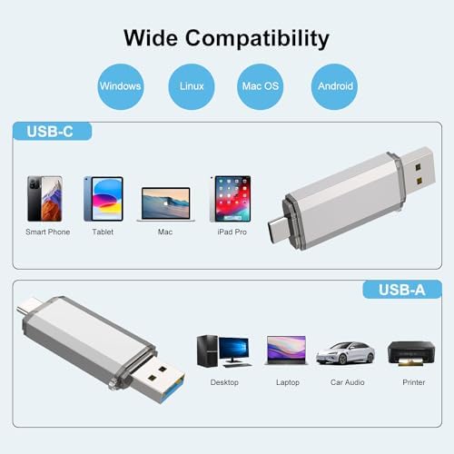 RAOYI 256 GB USB C Flash Drive – Lightning-Fast 130 MB/s Dual OTG Metal Memory Stick for Seamless File Transfers with Keychain – Ideal for Smartphones, PCs, Mac Books, and Tablets (Red) – Ultimate Storage Solution for On-the-Go Professionals