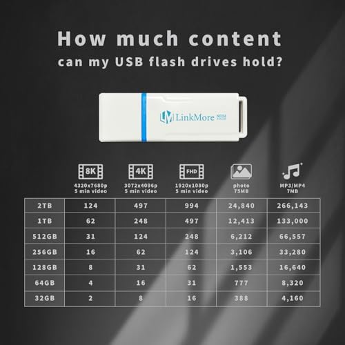 Maximize Your Data Storage with Link More EJECT32 256 GB USB 3.2 Flash Drive – Fast 100 MB/s Read Speeds & Retractable Design for Ultimate Portability and Compatibility with PC and Consoles
