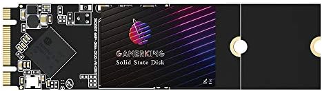 Transform Your Computing with GAMERKING 120 GB m SATA SSD – Lightning-Fast Internal Solid State Drive for Desktops and Laptops, SATA III 6 Gb/s for Superior Speed and Reliability