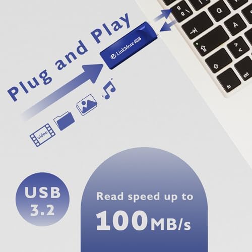 Maximize Your Data Storage with Link More EJECT32 256 GB USB 3.2 Flash Drive – Fast 100 MB/s Read Speeds & Retractable Design for Ultimate Portability and Compatibility with PC and Consoles