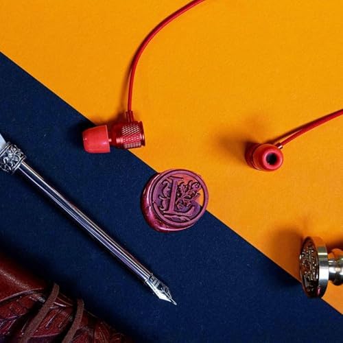 LUDOS Ultra Magnetic USB-C Earbuds for i Phone 16 & Samsung Galaxy – Superior Sound Performance with 5-Year Warranty, Ergonomic Comfort for All-Day Use, Tangle-Free Magnetic Design for Music and Calls – Sleek Black Finish