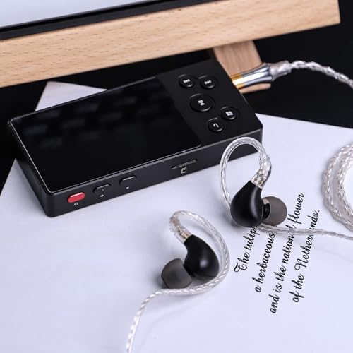 Elevate Your Sound with Linsoul BLON BL03 II Wired Hi-Fi In-Ear Monitors – Premium 10 mm Dual-Chamber Dynamic Driver Earbuds Featuring Detachable 2-Pin Cable & Type-C Connector for Enhanced Portability, Ergonomically Crafted for Musicians and Audiophiles in Stylish Silver Finish