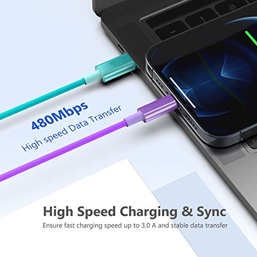 Vibrant USB C to Lightning Charging Cable – 3.3 ft MFi-Certified, Fast Charge for i Phone 14/13/12 Models – Durable Nylon Braided Design with Enhanced Speed and Compatibility for Seamless Connectivity