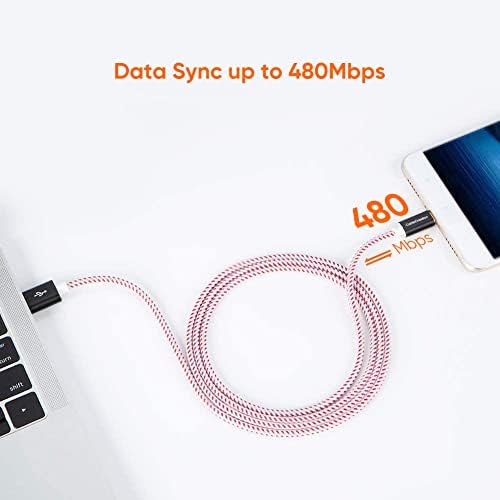 Compact USB C Cable Duo – 0.5 FT Braided Fast Charging Cables for Seamless Data Transfer | 3 A Power & 480 Mbps Speed | Ultimate Compatibility for Mac Book Air, Galaxy S22 Ultra, Stylus Pen, and More | Durable Design | Ideal for On-the-Go Connectivity