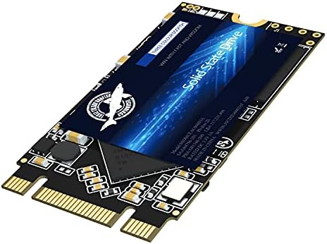 Unlock Lightning-Fast Computing with the Dogfish 500 GB M.2 2242 SATA III SSD – Perfect Upgrade for Desktops and Laptops with Enhanced Compatibility and Low Power Consumption for Ultimate Efficiency