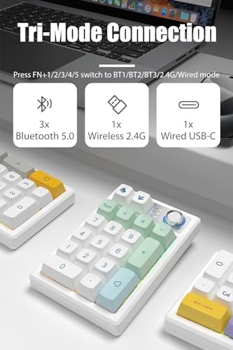 Gasket Creamy Mechanical Numpad – Wireless RGB Backlit Programmable Macro Keypad with Hot Swappable Keys, USB-C and Bluetooth 5.0 Connectivity for Enhanced Productivity on Windows and Mac – Compact Rechargeable Numeric Keyboard with Durable Metal Knob for Streamlined Workflow
