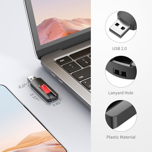RAOYI 5-Pack 64 GB USB Flash Drives – High-Speed USB 2.0 Memory Sticks for Effortless Data Transfer and Storage – Portable Thumb Drives for PC and Laptop – Ideal for Organizing Photos, Documents, and Videos – Multi-Pack Convenience for Home and Office Use