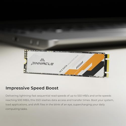 Timetec 512 GB SSD Dual Pack – High-Speed M.2 2280 SATA III Solid State Drives for Enhanced PC & Laptop Performance – Up to 550 MB/s Read Speed, 256 TBW Durability, Perfect for Gamers & Content Creators – Upgrade Your Storage Today!