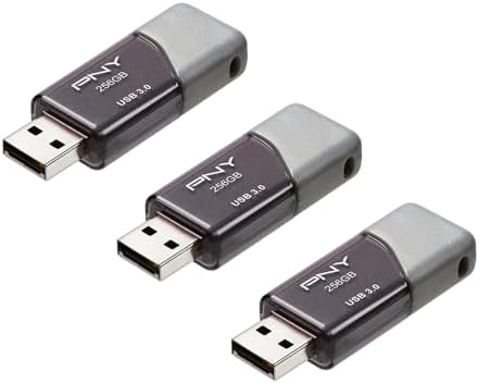 PNY 2 GB Optima SD Card – Dependable Class 4 Flash Memory for Hassle-Free Data Storage Across Devices