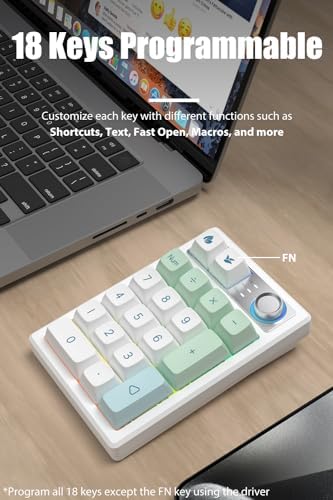 Gasket Creamy Mechanical Numpad – Wireless RGB Backlit Programmable Macro Keypad with Hot Swappable Keys, USB-C and Bluetooth 5.0 Connectivity for Enhanced Productivity on Windows and Mac – Compact Rechargeable Numeric Keyboard with Durable Metal Knob for Streamlined Workflow