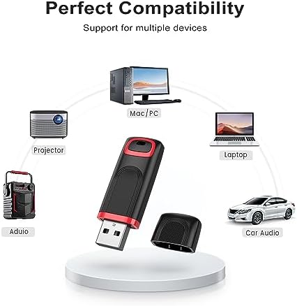 RAOYI 256 GB USB 3.0 Flash Drive – High-Speed Thumb Drive for Effortless Data Transfer Across PCs & Macs – Ultimate Portable Storage Solution for Professionals and Everyday Use